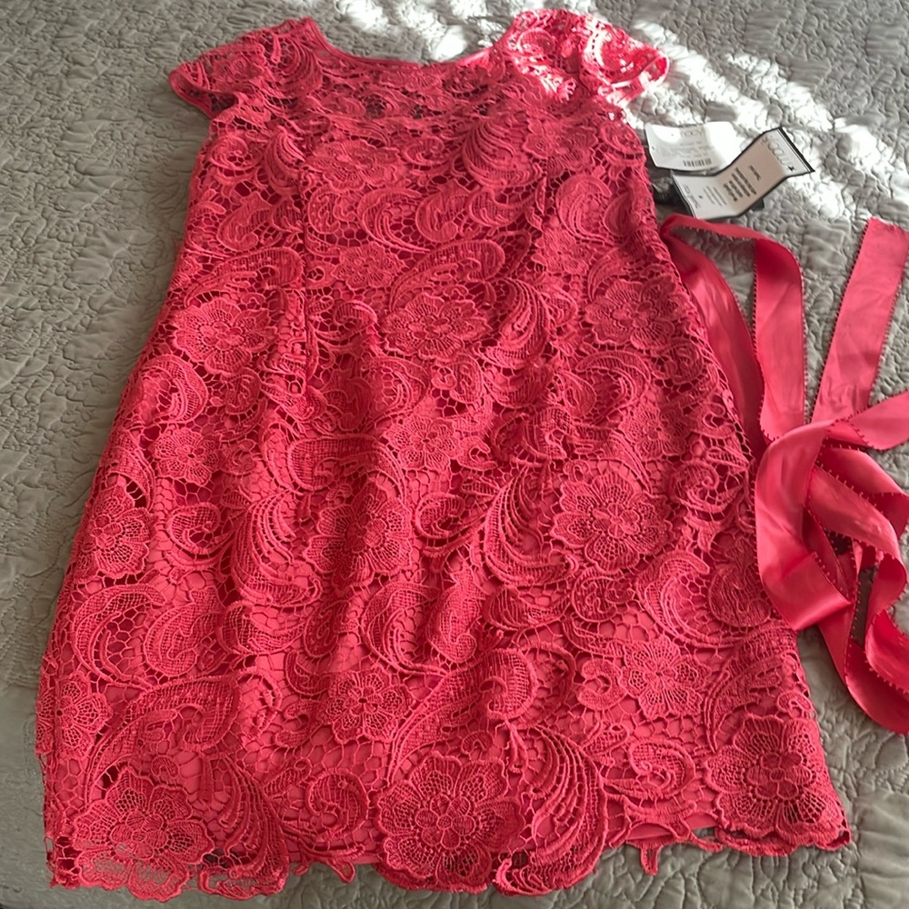 Adrianna Papell Embroidered Sheath Dress
